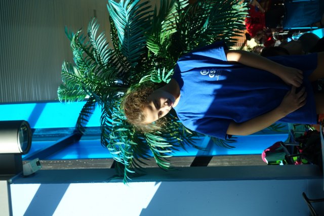 2019 Frühjahrsmeeting